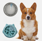 Slow Feeder Dog Bowl - Anti-Gulping Pet Food Dish